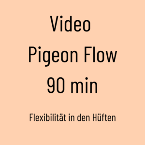 Video Pigeon Flow (90 min)